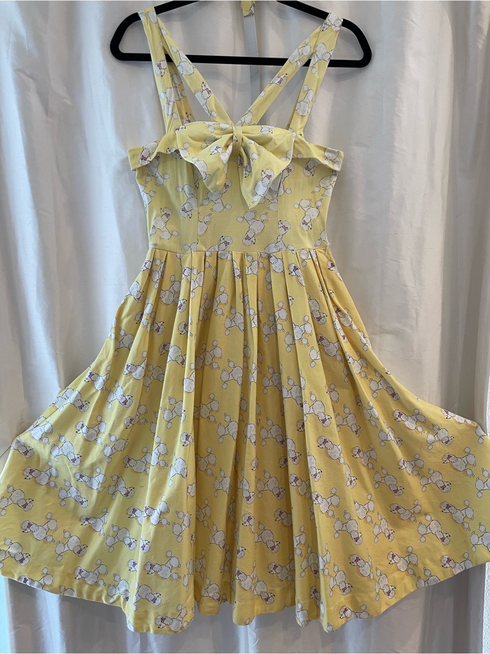 Unique Vintage Poodle dress with belt and pockets